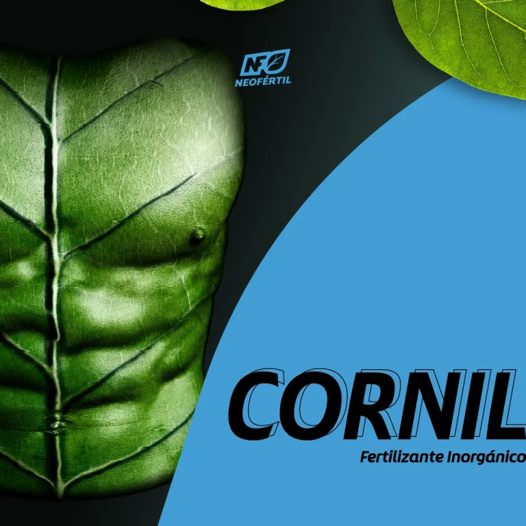 cornil_01