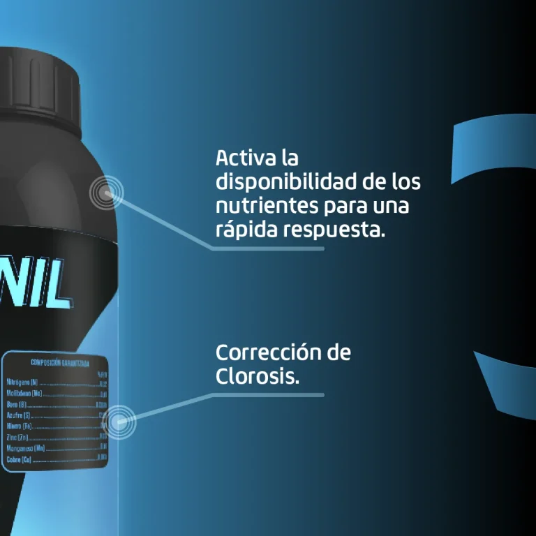 cornil_03