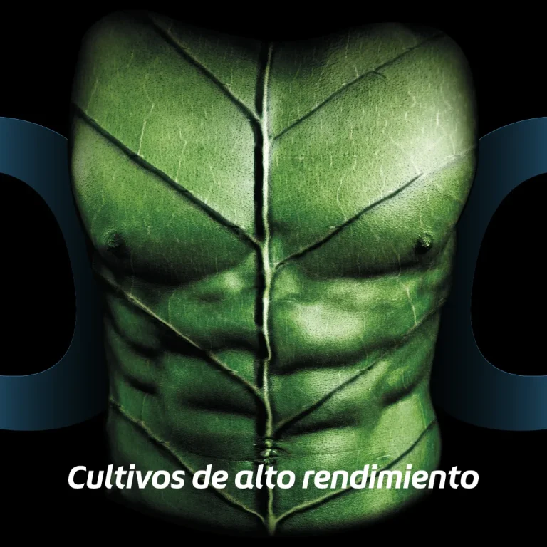 cornil_04