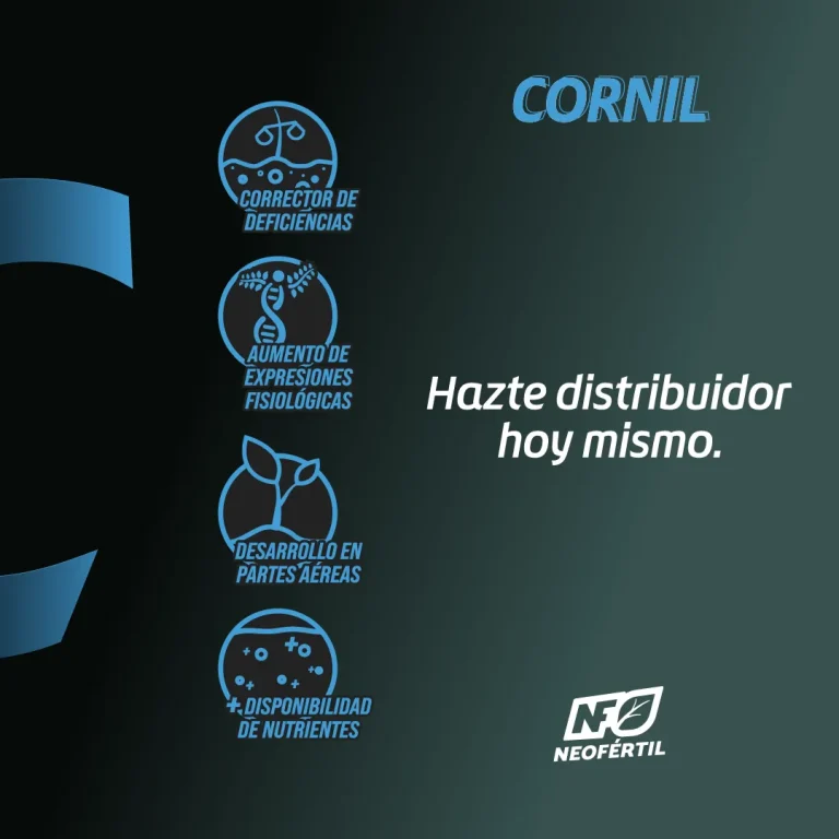 cornil_05